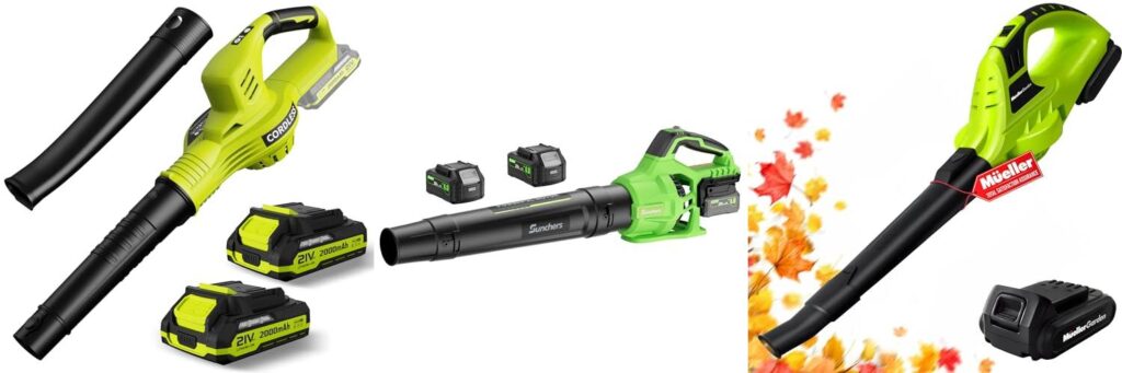Cordless Outdoor Leaf Blower combined image