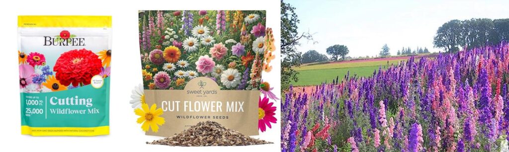 Flowers For Cutting Garden Zone 8 combined image