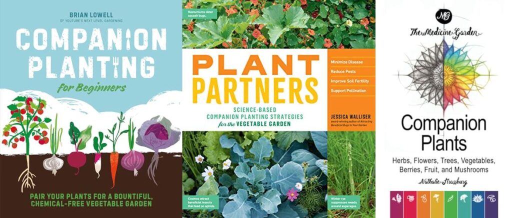 Garden Companion Plants combined image