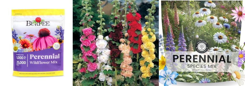 Garden Perennials combined image