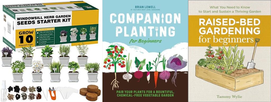 Garden Plants For Beginners combined image