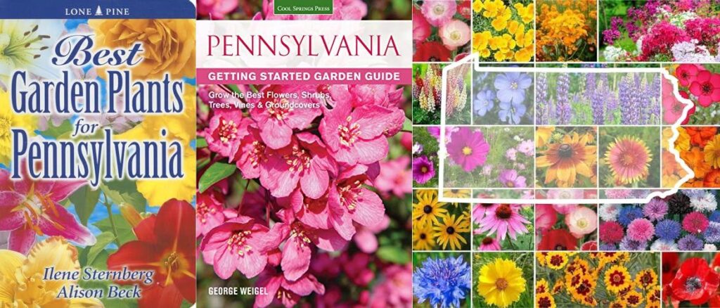Garden Plants For Pennsylvania combined image