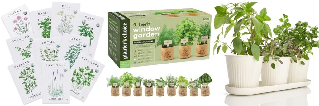 Herbs For Indoor Garden combined image