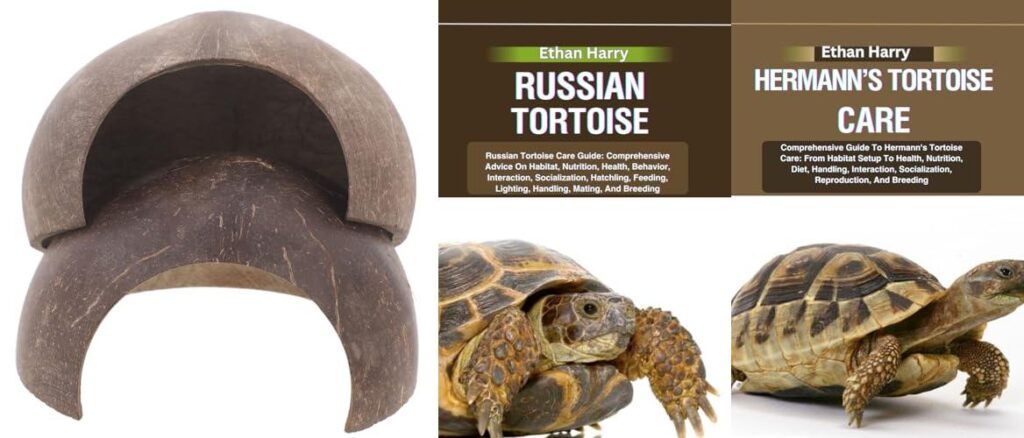 Bedding For Russian Tortoise combined image