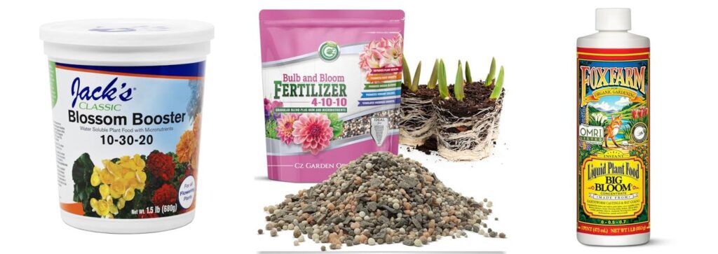 Dahlia Fertilizer combined image
