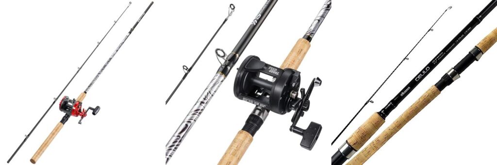 Rod And Reel For Salmon combined image