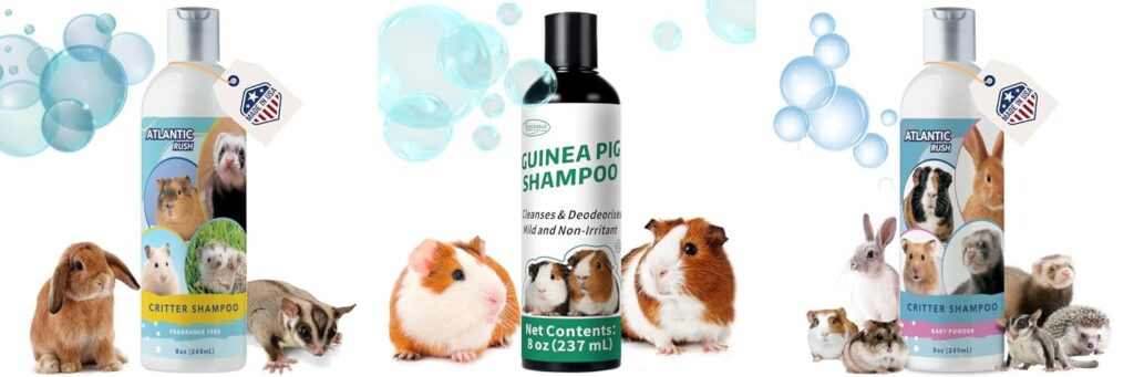 Shampoo For Guinea Pigs combined image