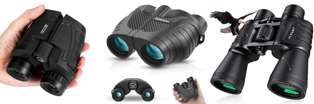 Binoculars For Alaska Cruise combined image