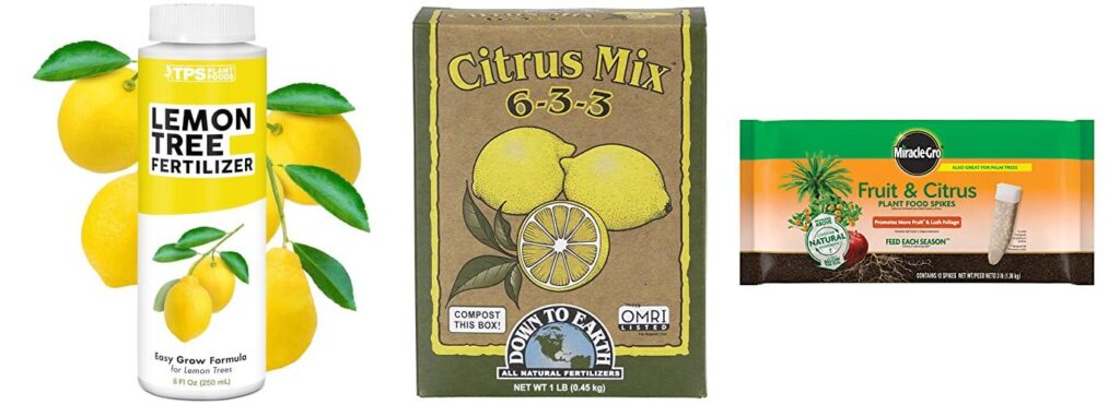 Fertilizer For Lemon Tree combined image