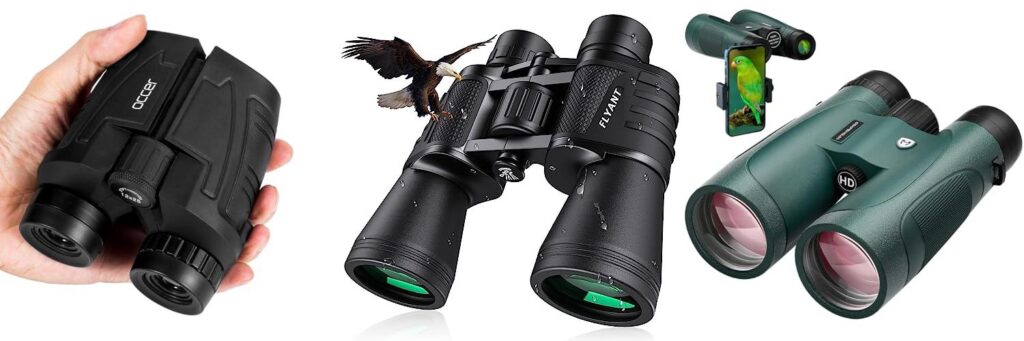 Low Light Binoculars combined image