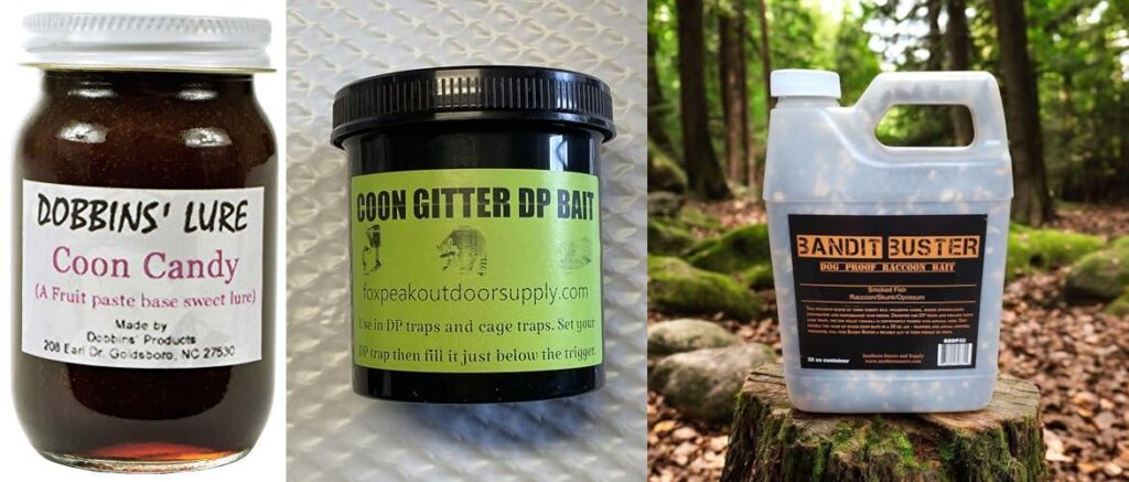 Coon Bait combined image