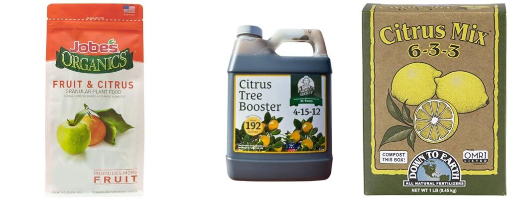 Fertiliser For Citrus Trees combined image