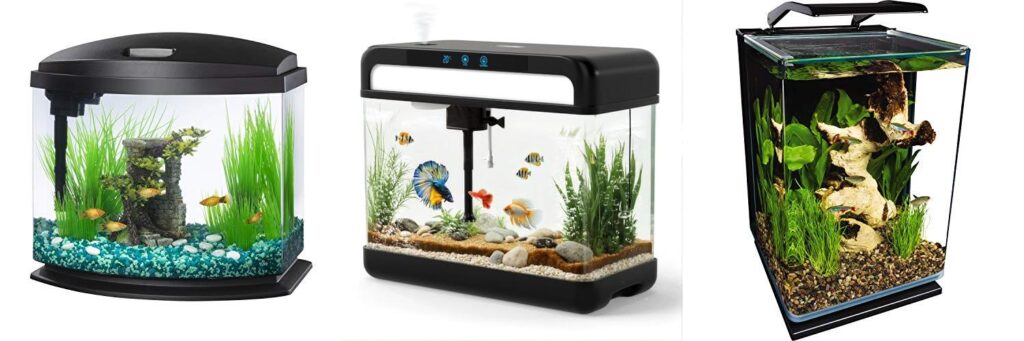 Fish Aquarium combined image