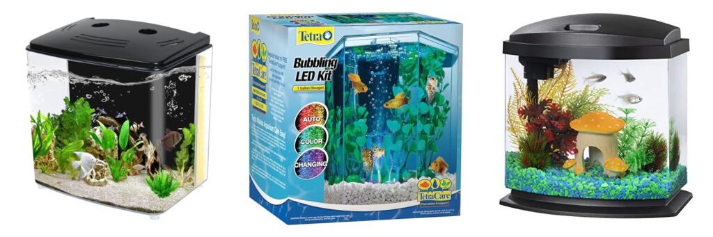 Fish Tank For Goldfish combined image