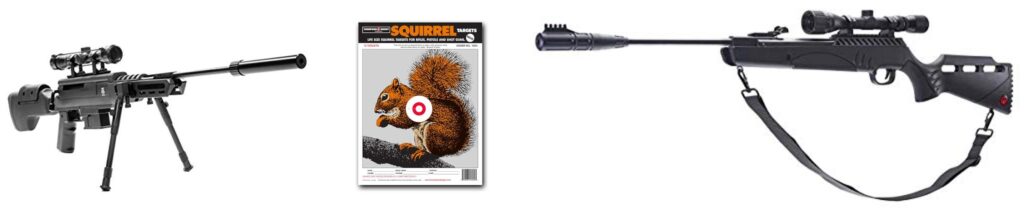 Gun For Squirrel Hunting combined image