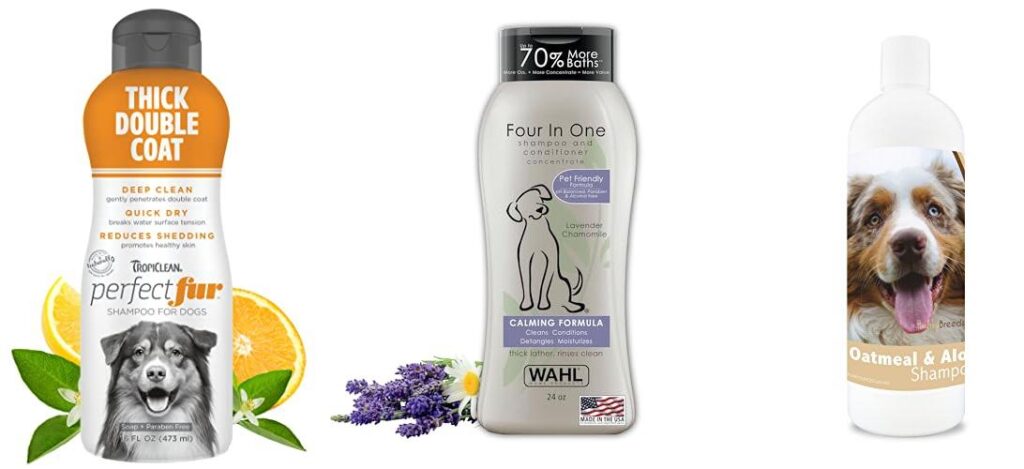 Shampoo For Australian Shepherd combined image