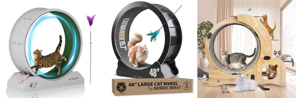 Cat Exertcise Wheels combined image
