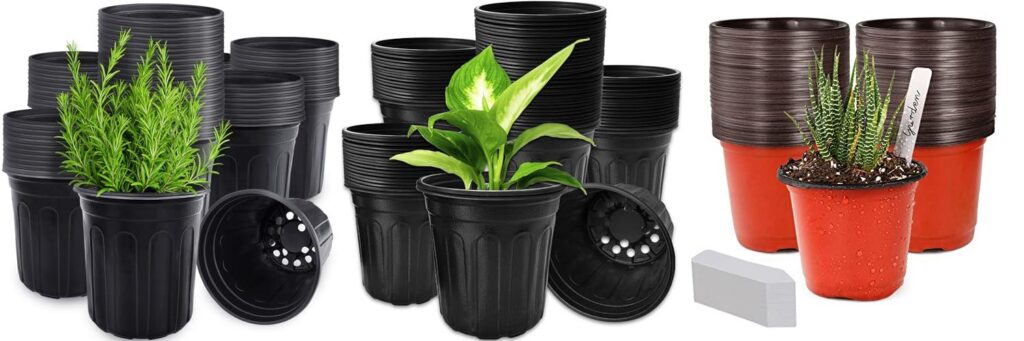 Plants For Containers combined image