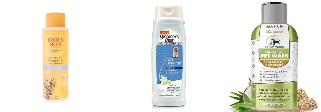 Shampoo For Puppy Dandruff combined image