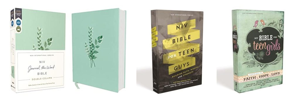 Bible Version For Young Adults combined image