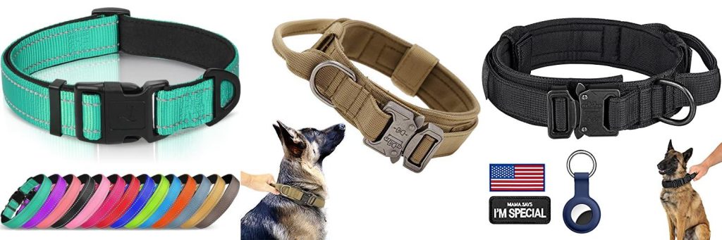 Collar For English Bulldog combined image