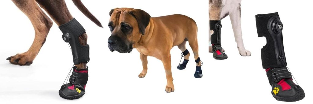 Dog Boots For Knuckling combined image