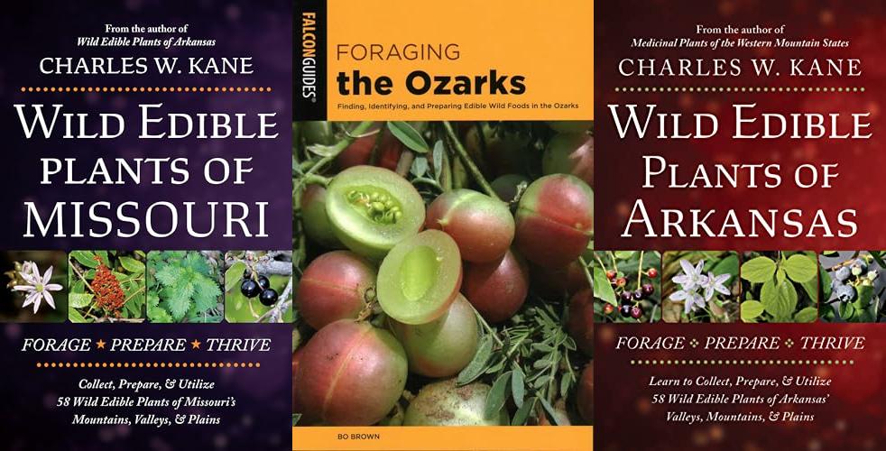 Edibles In Missouri combined image