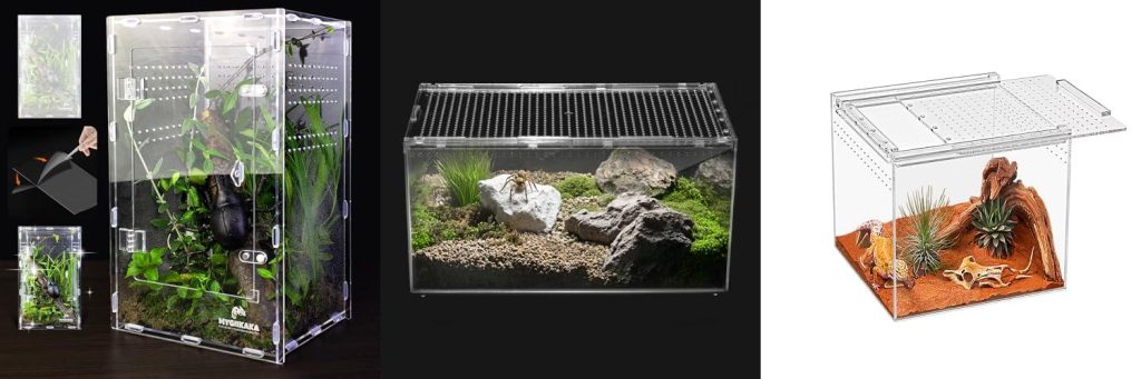 Enclosure For Tarantula combined image