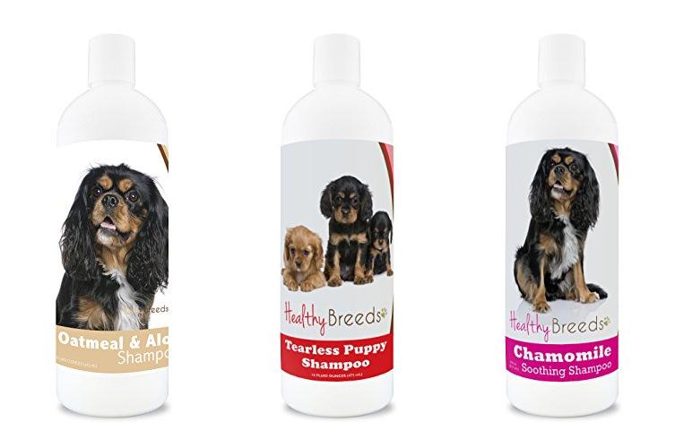 Shampoo For Cavalier King Charles combined image