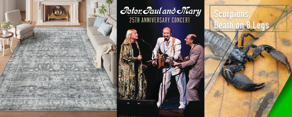 Time Of Year To Purchase Carpet combined image