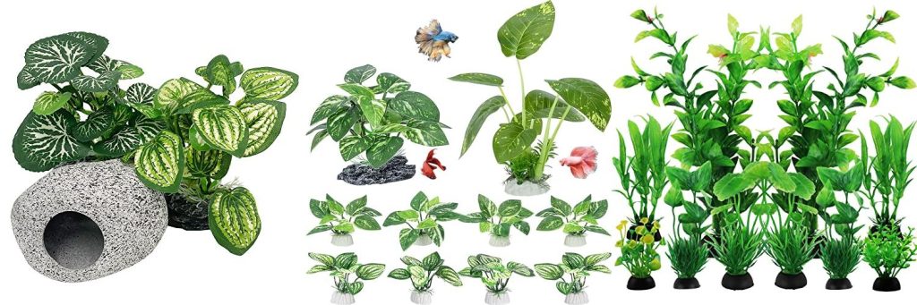Aquarium Plants For Bettas combined image