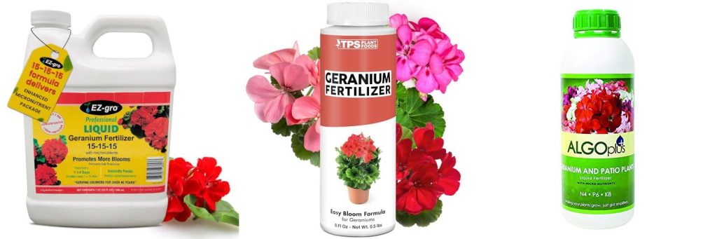 Geranium Fertilizer combined image