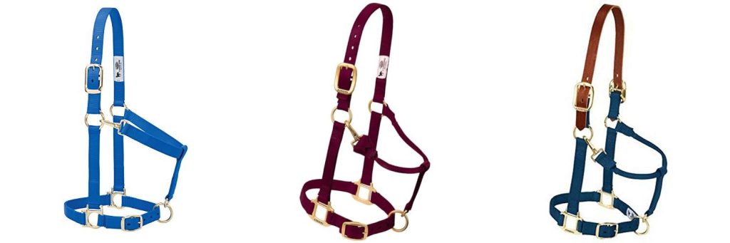 Halters For Horses combined image
