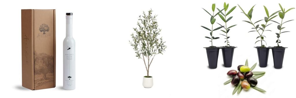 Olive Tree For Oil combined image