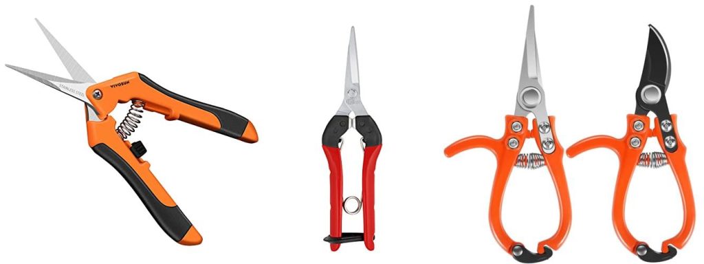 Flower Snips combined image