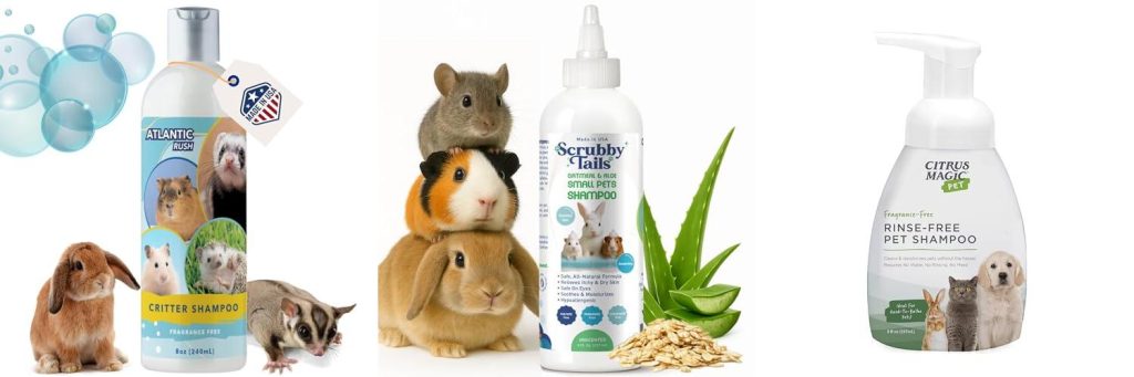 Guinea Pig Shampoo combined image