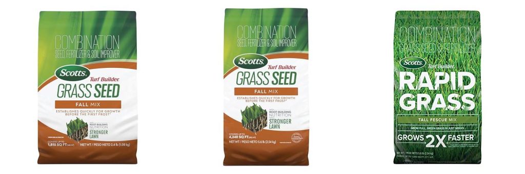 Seed For Overseeding In Fall combined image