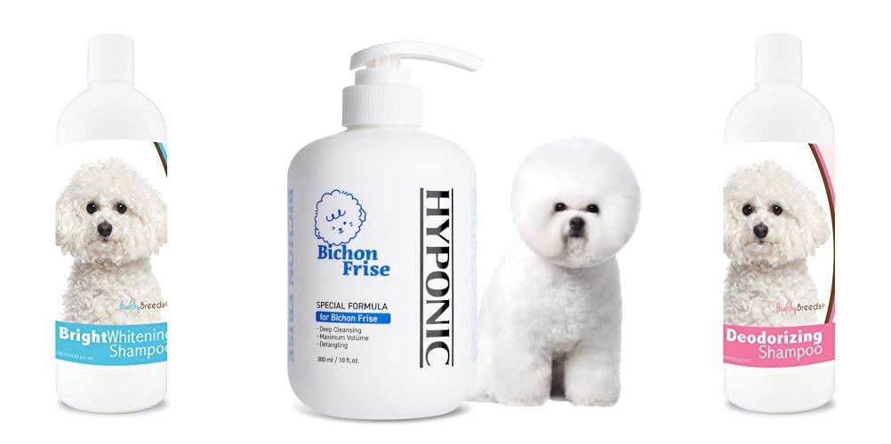Shampoo For Bichon Frise combined image
